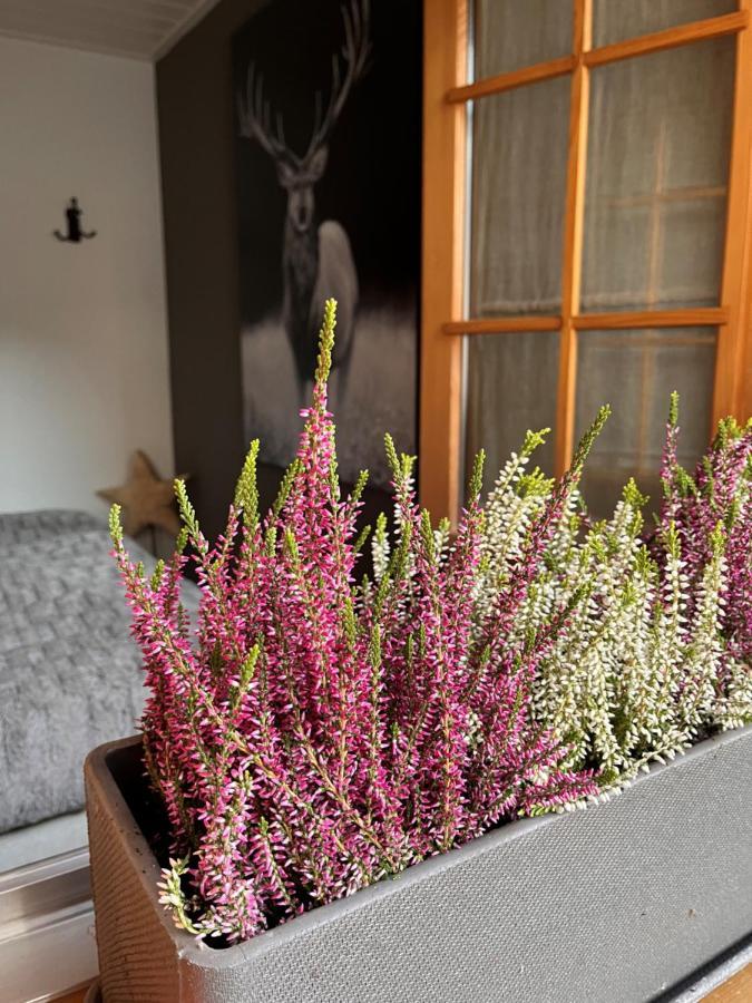 Chalet Apartment Serenity Lodge Charmey Ngoại thất bức ảnh